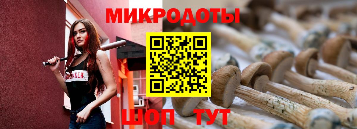 Псилоцибиновые грибы Psilocybine cubensis Орск